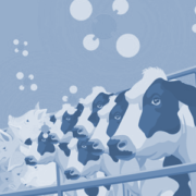 Cows from the cover of Emissions Impossible